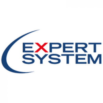 Expert System