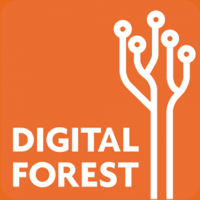DIGITAL FOREST