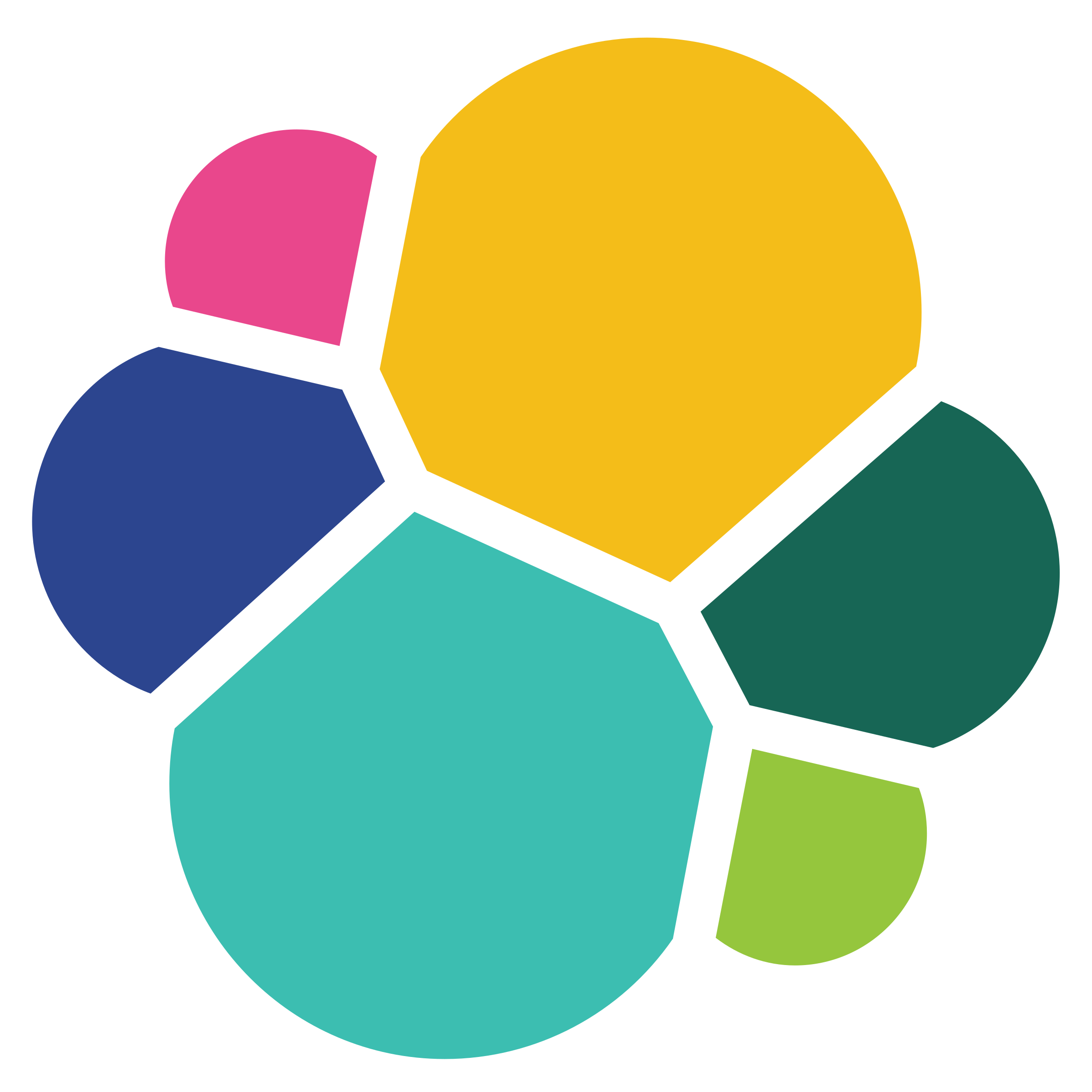 Logo di Elasticsearch